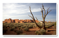 Utah 2011